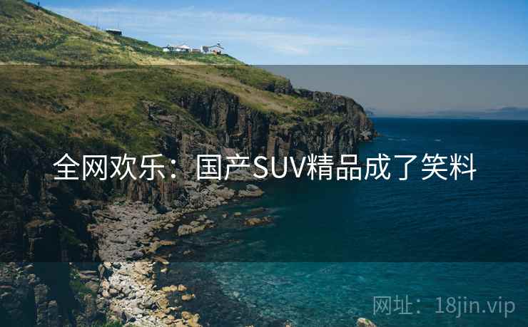 全网欢乐:国产SUV精品成了笑料 全网欢乐:国产SUV精品成了笑料